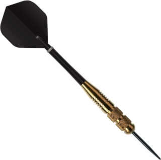 nodor-darts-brass-nr4004-24gr