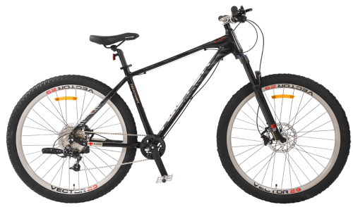 vector29