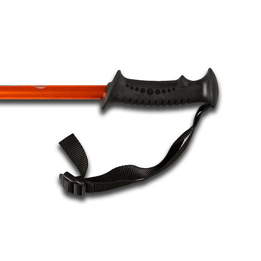 9zakx2bkmnk056l78toa8zh2nip4bpbv