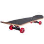 Elite d 6
