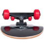 Elite d 6