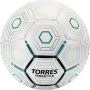 myach_futbolnyy_torres_freestyle_art.f320135_r.5_32_paneli_belo_serebristyy_1618565906_2