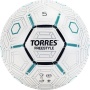 myach_futbolnyy_torres_freestyle_art.f320135_r.5_32_paneli_belo_serebristyy_1618565906_2