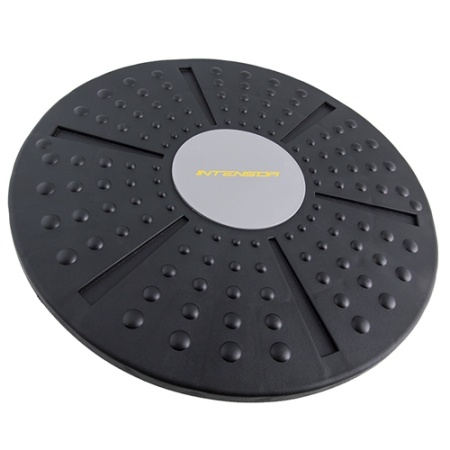 balansirovochniy_disk_intensor_121867_1
