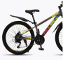 2024-02-25_11-29-20