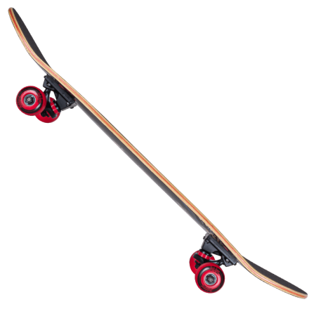 Elite d 6
