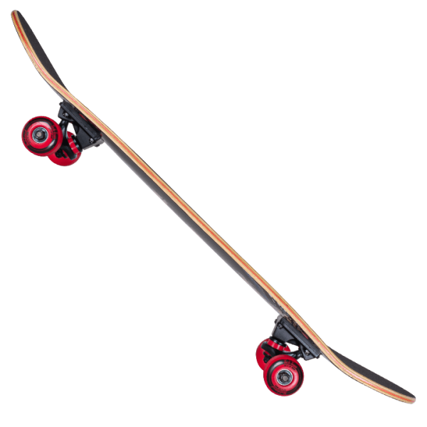 Elite d 6