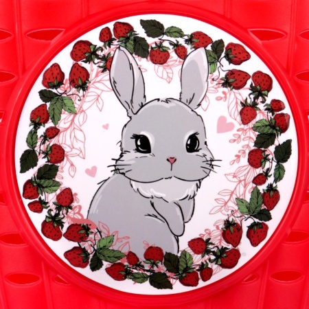 P 06 rabbit_5_11zon