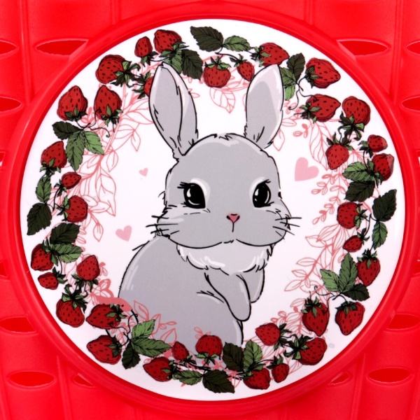 P 06 rabbit_5_11zon