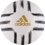 myach_futbolnyy_adidas_juve_clubart.gh0064_r.4_2_pan_tpu_belyyo_chernyyo_zolotoy_1603889488_1