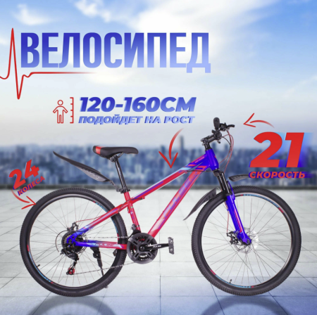 2024-02-25_15-19-31